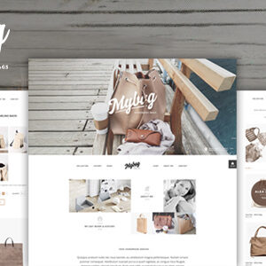 MyBag Single Product WooCommerce Theme